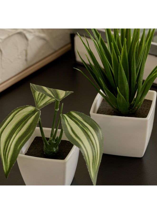 Home Box Evergreen Nordic Style Artificial Succulent Set for Home - Image 4